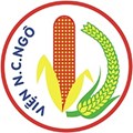 Maize Research Institute of Vietnam