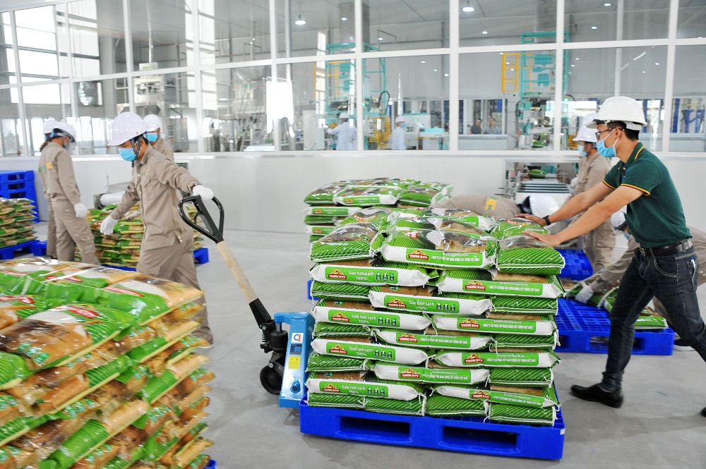 Từ hạt gạo cứu đói đến quốc gia xuất khẩu nông nghiệp hàng đầu