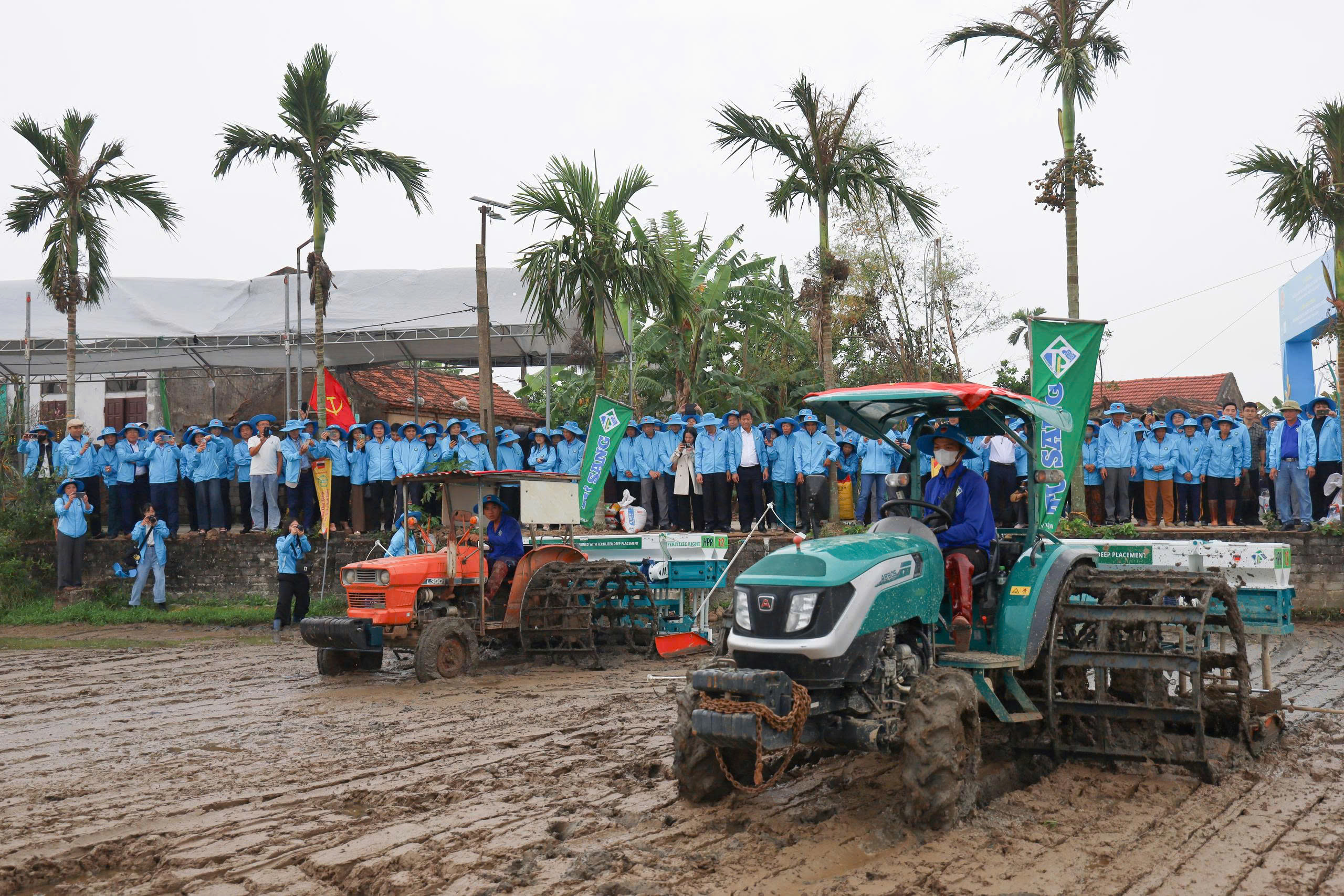 Khi nông dân bắt đầu trồng lúa bằng công nghệ