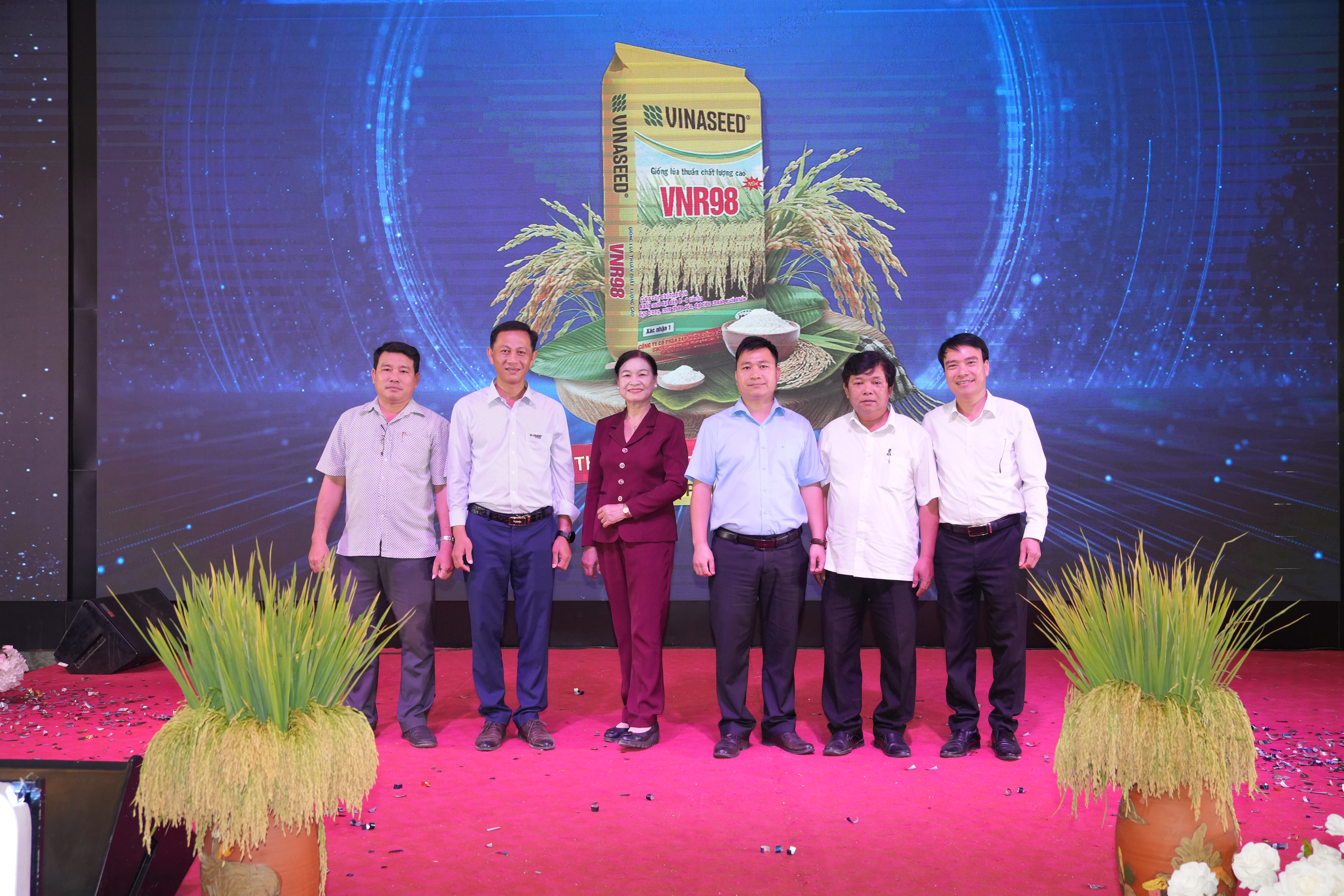 Nông dân xã Tây Sơn, tỉnh Gia Lai mê mẩn giống lúa mới VNR98 năng suất cao, gạo ngon, vượt hạn, thắng sâu bệnh