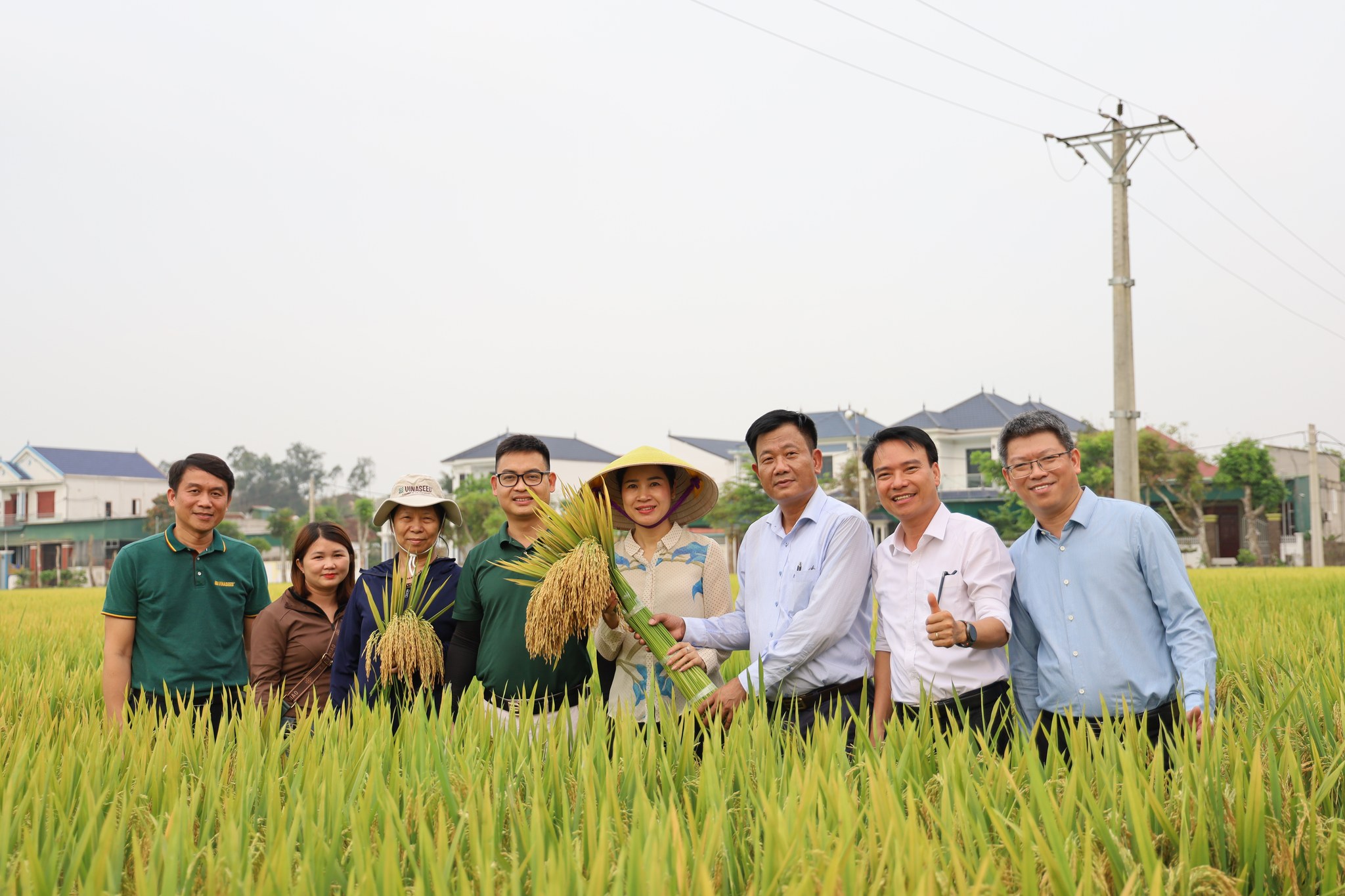 Nâng tầm lúa thuần VNR88 nhờ giải pháp nông nghiệp trọn gói